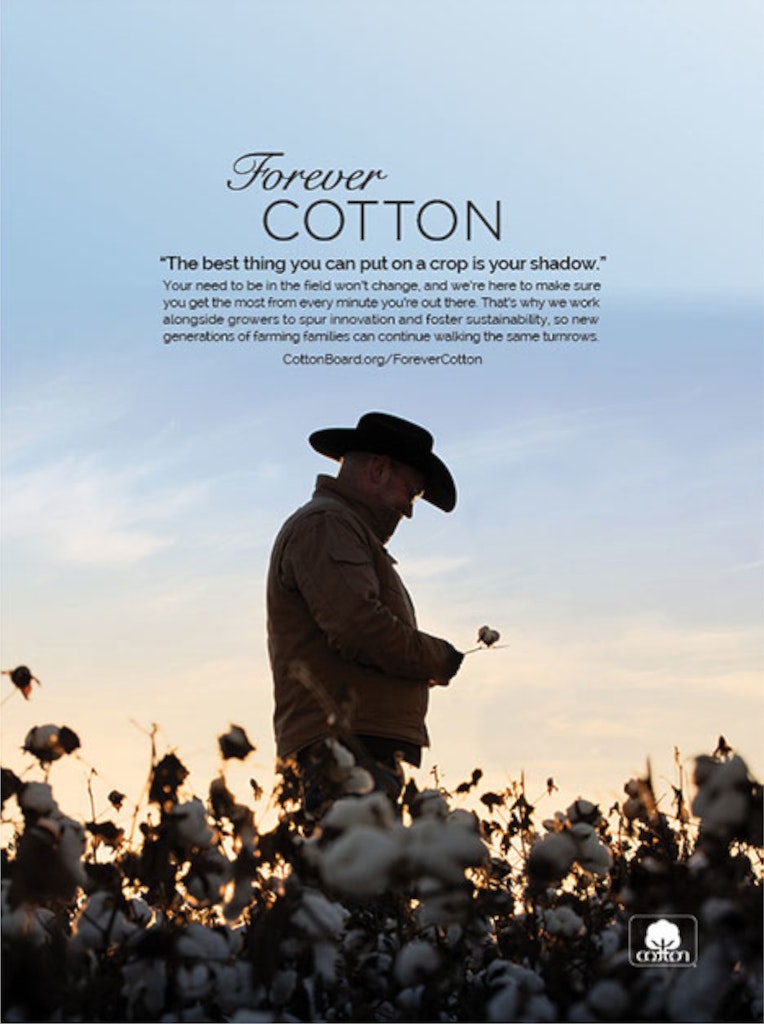 Forever Cotton advertisement developed by DIGITAL L MEDIA LTD