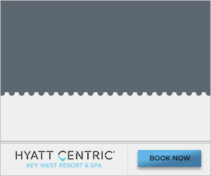 Example of static digital advertisement for Hyatt encouraging booking.