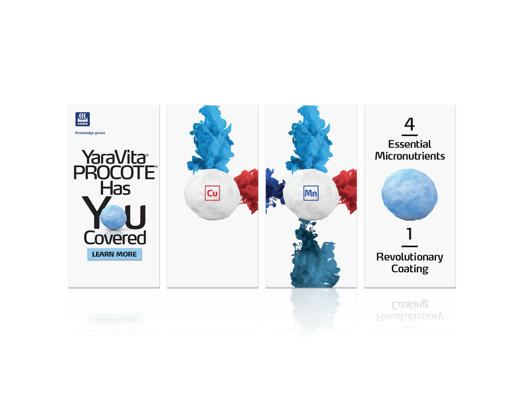 Procote advertisement